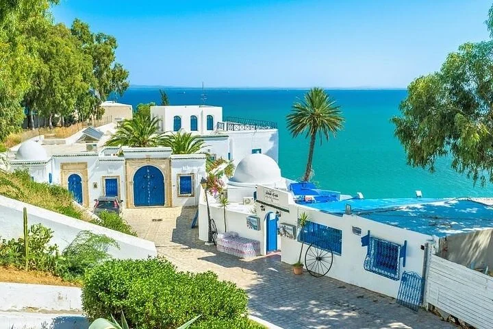 Les maisons bleues et blanches de Sidi Bou Saïd face à la Méditerranée